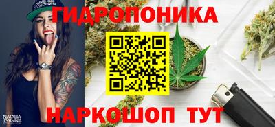 сатива Бузулук