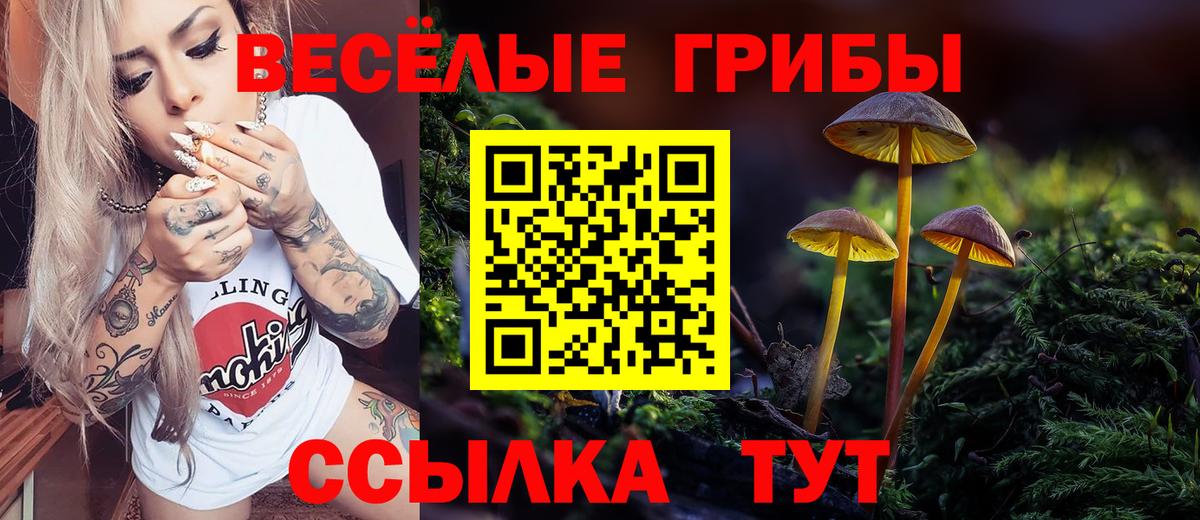 Иркутск  Галлюциногенные грибы Magic Shrooms  Псилоцибиновые грибы Magic Shrooms  Вход с VPN 
