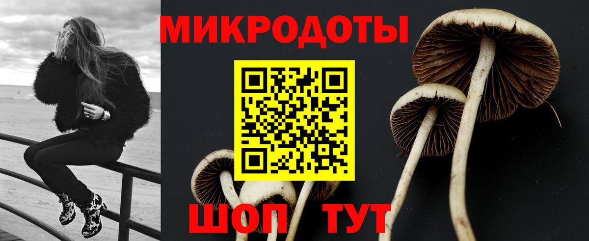 Псилоцибиновые грибы MAGIC MUSHROOMS Иркутск