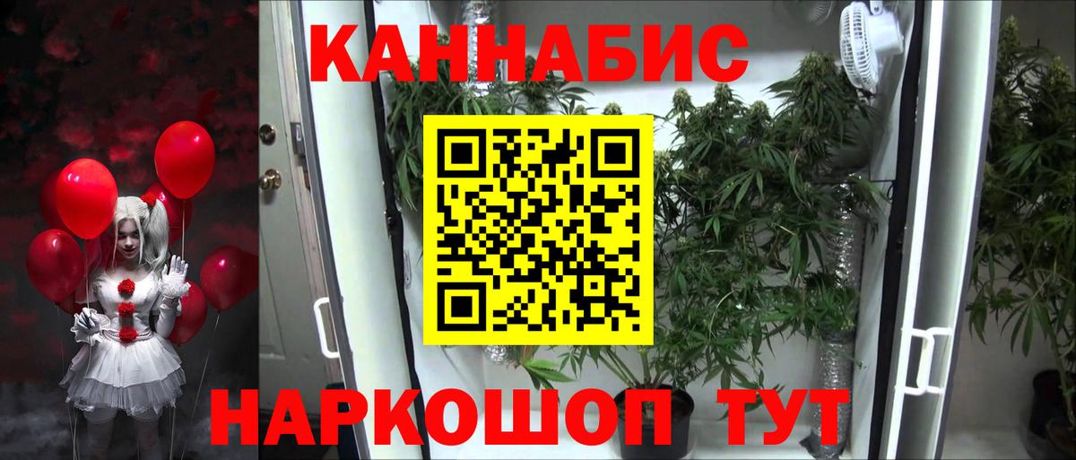 Бошки марихуана конопля Иркутск